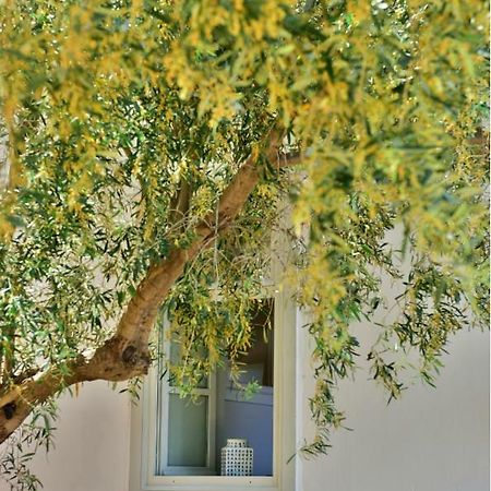 Douskos Beach House Apartment Hydra  Exterior foto