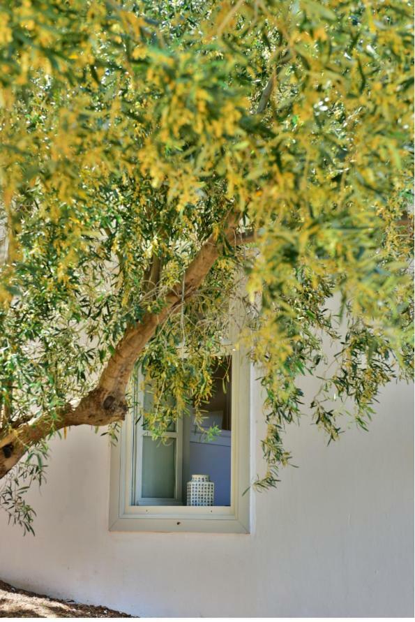 Douskos Beach House Apartment Hydra  Exterior foto